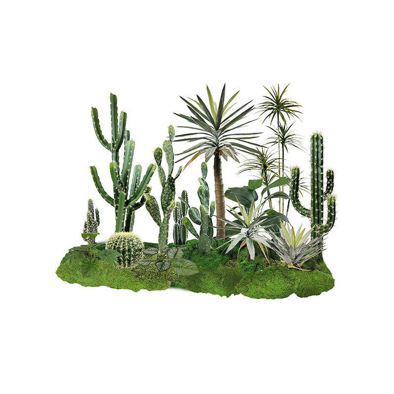 仿真绿植热带植物仿真仙人掌造景室内商场酒店橱窗微景观装饰软装
