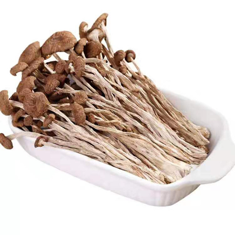 一苇农佳高山茶树菇200g/袋