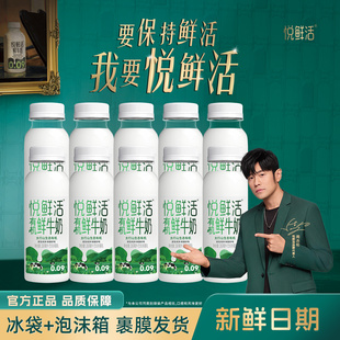悦鲜活有机鲜奶纯牛奶260mlx10瓶新鲜日期低温奶正品旗舰店
