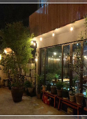 2WS14LED户外灯串阿根廷灯串秘鲁圣诞灯串太阳能灯串皮线爱迪生灯