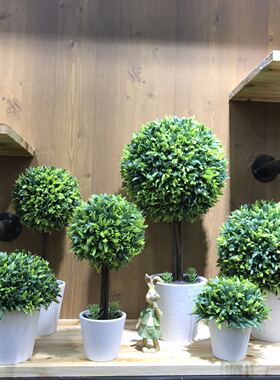 露丝田园乡村清新绿植仿真植物办公室客厅家居装饰盆景摆件礼品