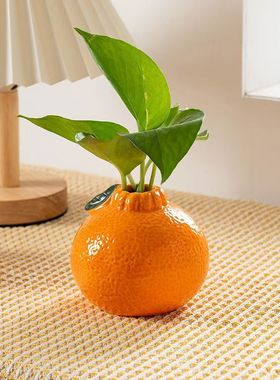 创意网红橘子陶瓷花瓶水养绿萝水培花瓶桌面办公室装饰摆件