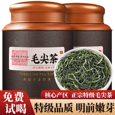 毛尖茶叶2025新茶明前特级浓香型绿茶茶叶官方旗舰店罐装500g
