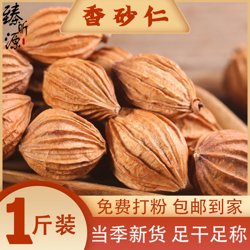 香砂仁川砂仁500g沙仁卤肉菜中药