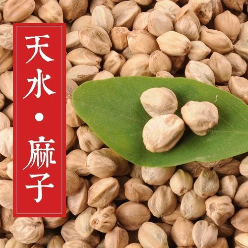 麻子甘肃特产优选天水麻子