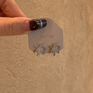 爆闪仿锆石雪花耳钉2025新款 高级感轻奢小众独特精致秋冬耳环 爆款