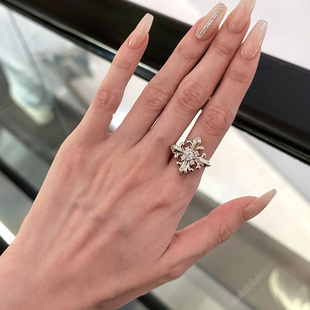 银色爆闪鸢尾花戒指女轻奢高级感食指戒小设计感指环2025新款 爆款