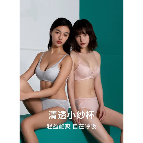D44-黛-大胸显小薄款清透小纱杯透气蕾丝无钢圈文胸内衣-E004049