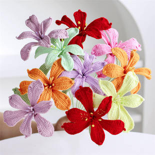 精品微钩毛线花手工钩织六出花仿真花棉线编织手工针织花束成品