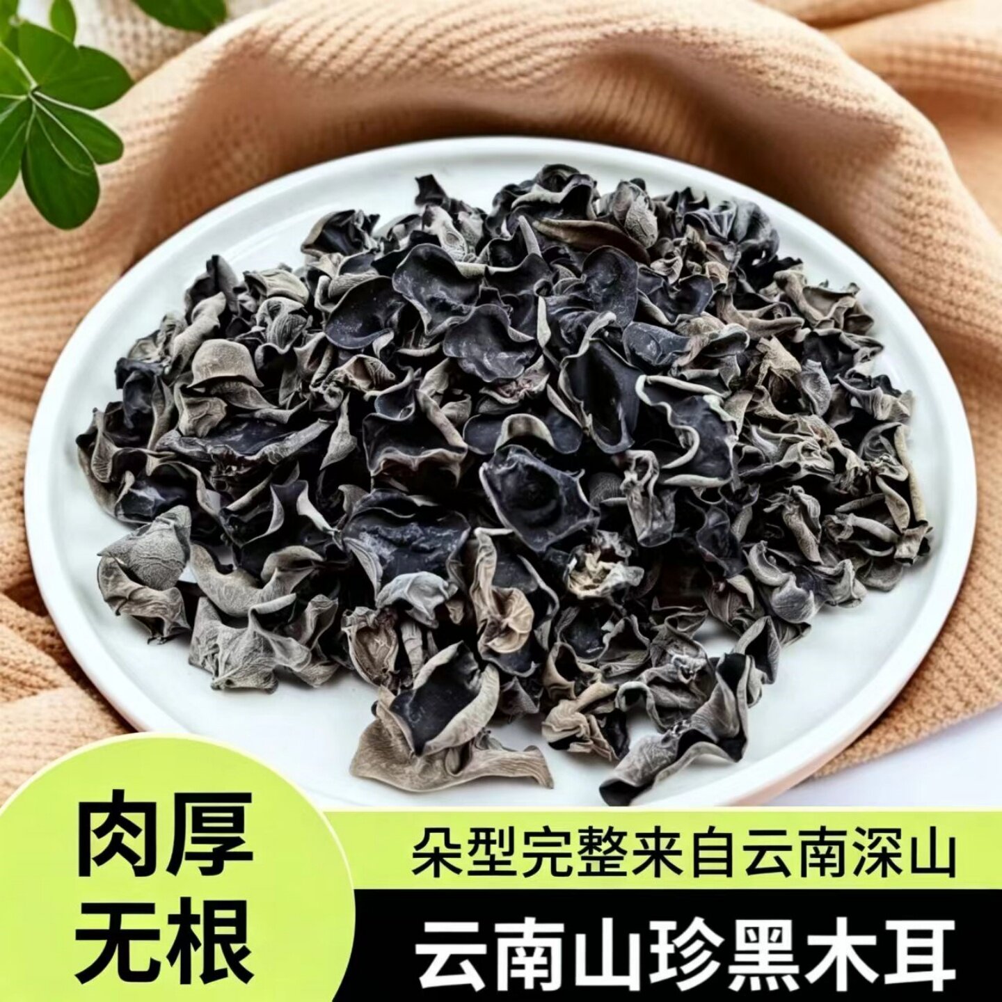 正宗云南特产黑木耳头茬干货高泡发秋木耳椴木耳小碗耳可家用商用