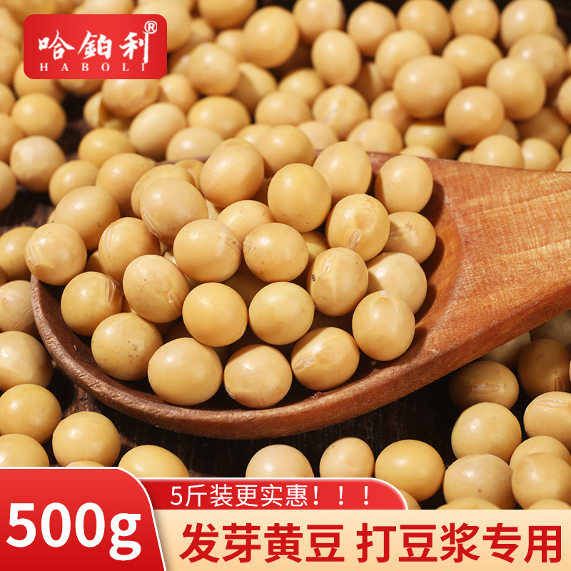 东北新大粒农家自种黄豆打豆浆