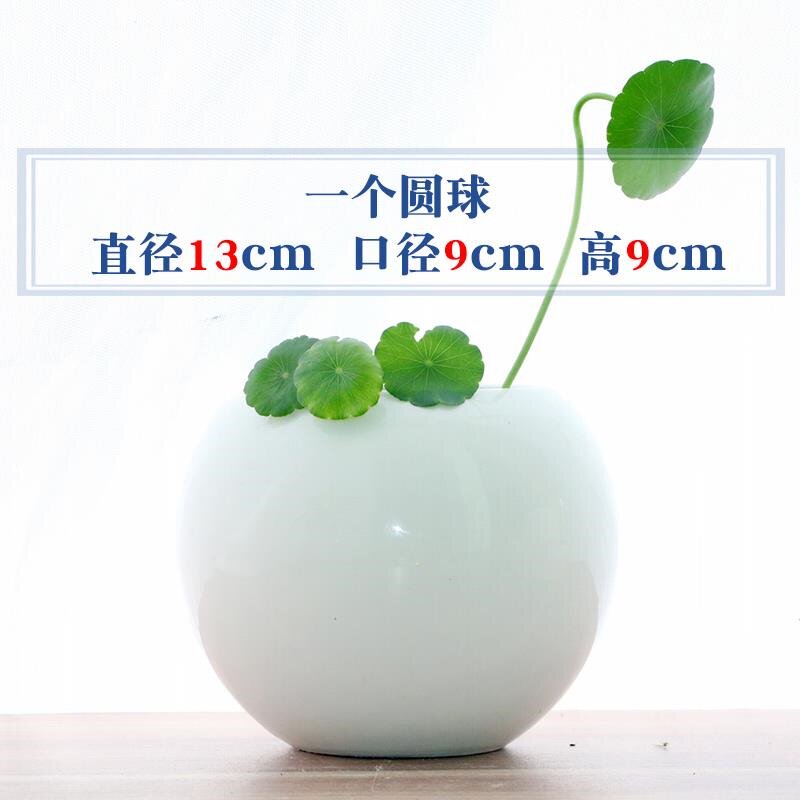白色花盆陶瓷无孔铜钱草碗莲睡莲水培绿萝发财树文竹容器清仓特价