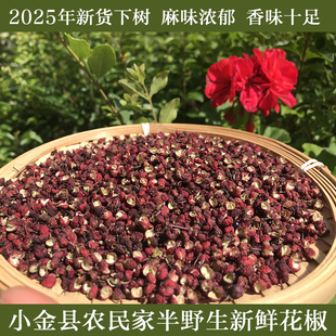 阿坝州小金县农家自种半野生花椒新鲜应季红麻椒食用香辛料100g