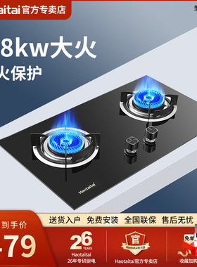 Haotaitai燃气灶双灶家用液化天然气灶台嵌两用2169A