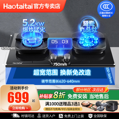 Haotaitai燃气灶大火力家用厨房嵌入式两用灶具双灶LZ9-D