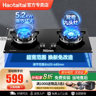 Haotaitai九腔燃气灶炉灶家用灶台灶具九头猛火双灶2199-TJ