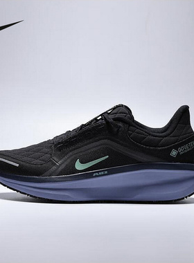 Nike耐克拒水跑步鞋男鞋Winflo 11 GORE-TEX缓震运动鞋FQ1358-006