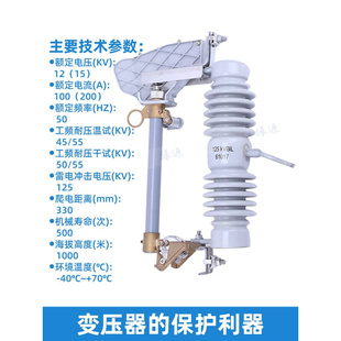 熔断器10kv变压器保险丝令克开关 200A户外柱上高压跌落式 RW12