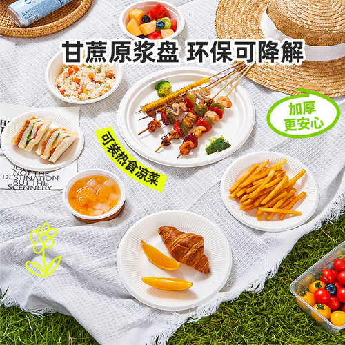 【品牌正品】特美居一次性餐盘
