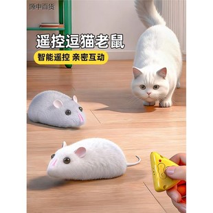 2025超火的抽象猎奇小玩意网红爆款电动彷真遥控老鼠解压恶搞玩具