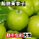 包邮 顺丰钱排三月青李子新鲜水果当季 信宜酸脆孕妇现摘三华李整箱