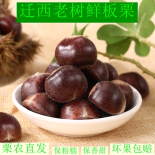 正宗迁西板栗生新鲜栗子板栗生大油栗河北野生老树小毛栗子2025粟