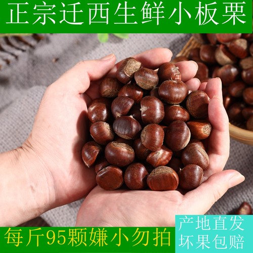 迁西板栗生新鲜2025新鲜小板栗粟子生新鲜板栗生板栗燕山油栗新货