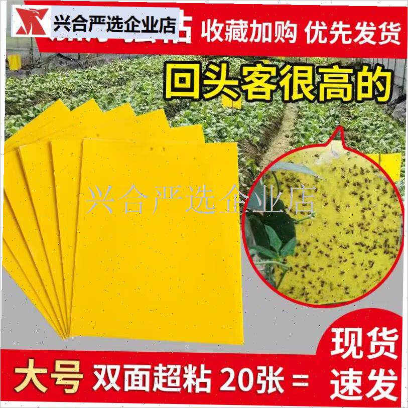 粘虫板黄板双面诱虫强黏粘蝇板灭花盆小黑飞蓝色T蓟马大棚沾蚊纸,