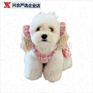 大耳狗长耳狗紫色m格子宠物装饰防脏耳花美卡可卡布查理王宠物衣,