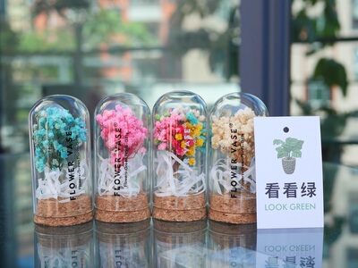 满天星伴手礼摆件教师节一花一瓶