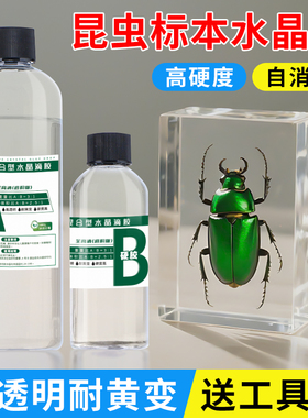 昆虫标本水晶滴胶高透环氧树脂ab胶 手工diy制作材料植物模具套装
