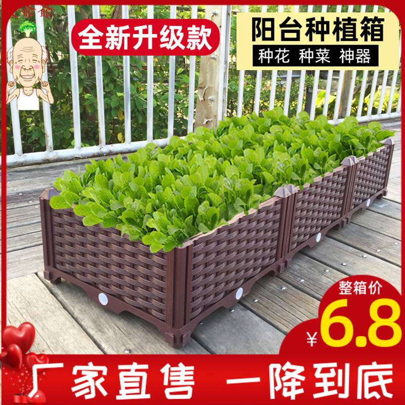 蔬菜种植箱特大阳台种菜盆