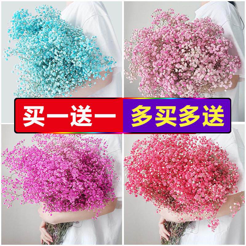 云南小束满天星干花花束真花天然文艺风带花瓶客厅装饰摆件论斤卖