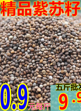 东北特产可榨油紫苏籽生重油颗粒苏子食用烧烤料调料克g装包邮鸟