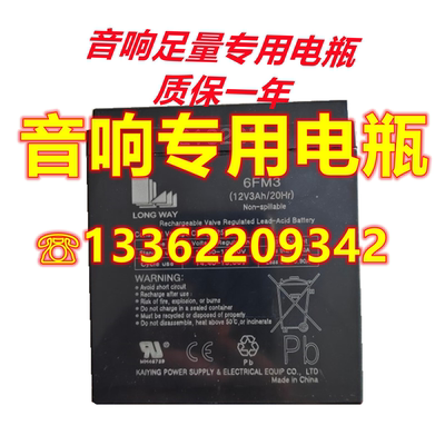 户外广场舞音响蓄电池12v3AH