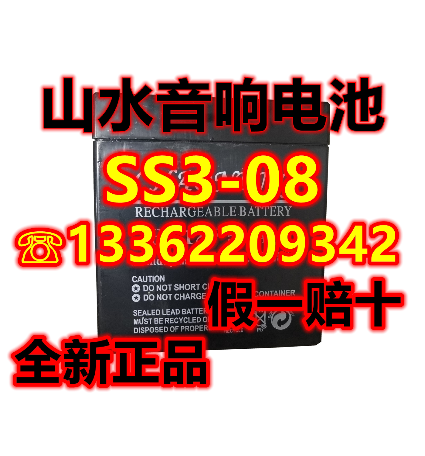 山水音箱电瓶SS3-08音响图片