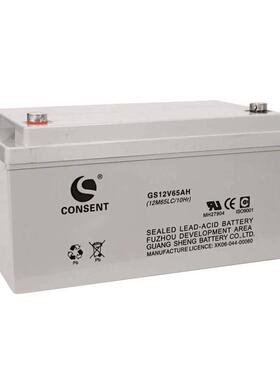 CONSENT蓄电池GS12V65AH 12M65LC 机房UPS直流屏电源专用