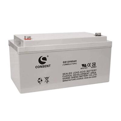 CONSENT蓄电池GS12V65AH 12M65LC 机房UPS直流屏电源专用