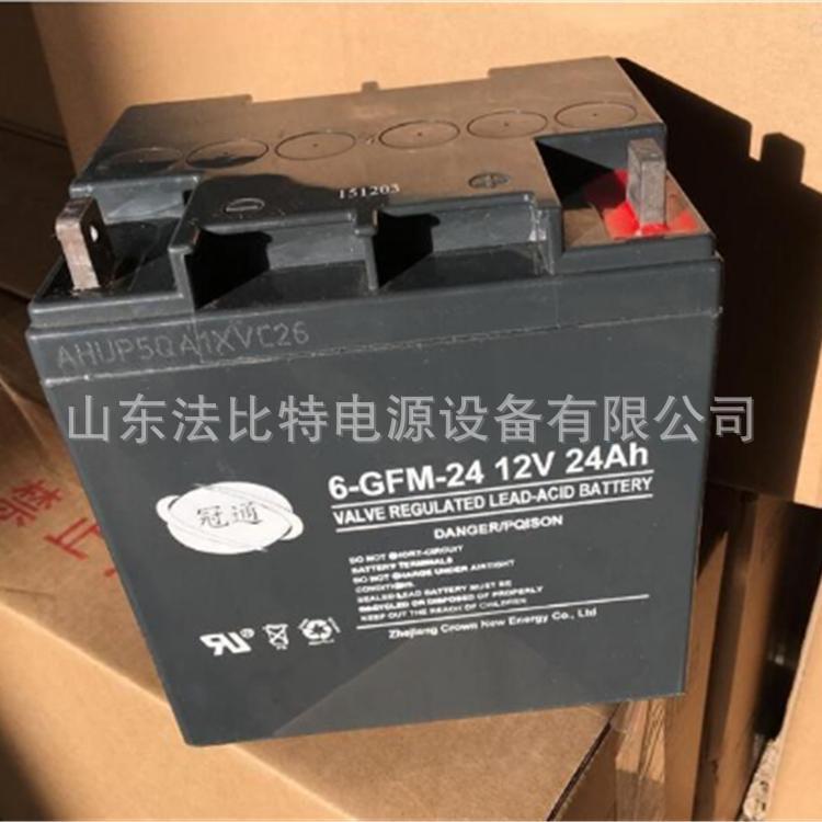 阀控式蓄电池6-GFM-24免维护12V24Ah通讯机房蓄电池