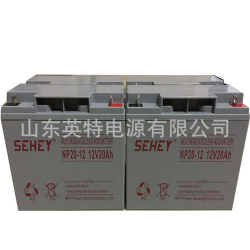 西力蓄电池12V20AH德国N