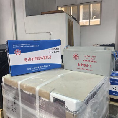 火炬电瓶6-EVFJ-1502AH铅