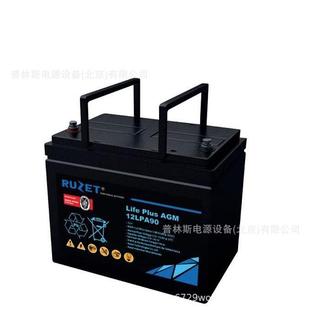 12LPA90 RUZET法国蓄电池12V90Ah 免维护UPS机房用备用电源