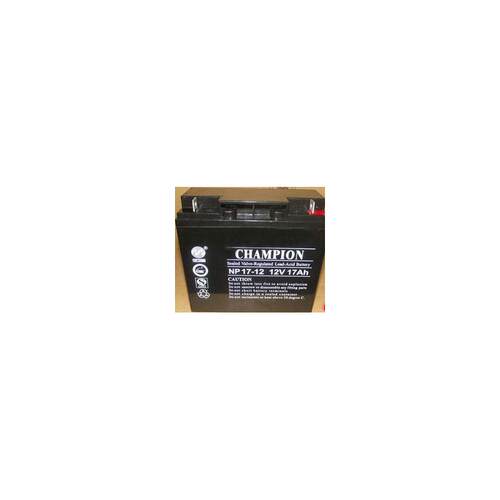 蓄电池12V17AHNP-UPS/E