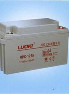 MPC-1265 绿色环保储能电瓶 消防泵室应急后备电