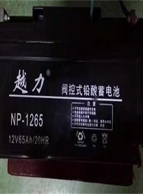 NP-1265 绿色环保免维护电瓶 机房UPS配电柜后备应急电