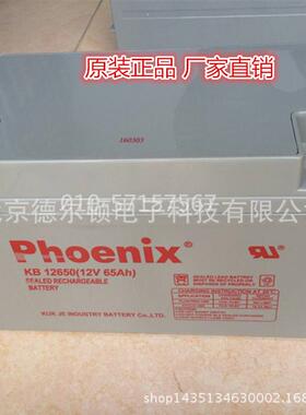 KB12900 凤凰蓄电池12v90ah ups直流屏 太阳能