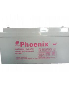 蓄电池6GFM65 12V65AH直流屏 UPS 消防 地下室照明应用
