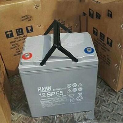 FIAMM意大利蓄电池12SP55蓄电池12V55AH光伏发电机房应急