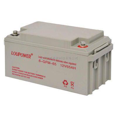 Loupower莱力蓄电池6-GFM