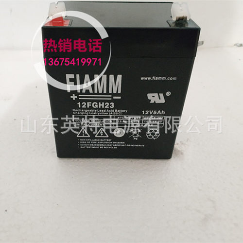 现货FIAMM非凡蓄电池12FG